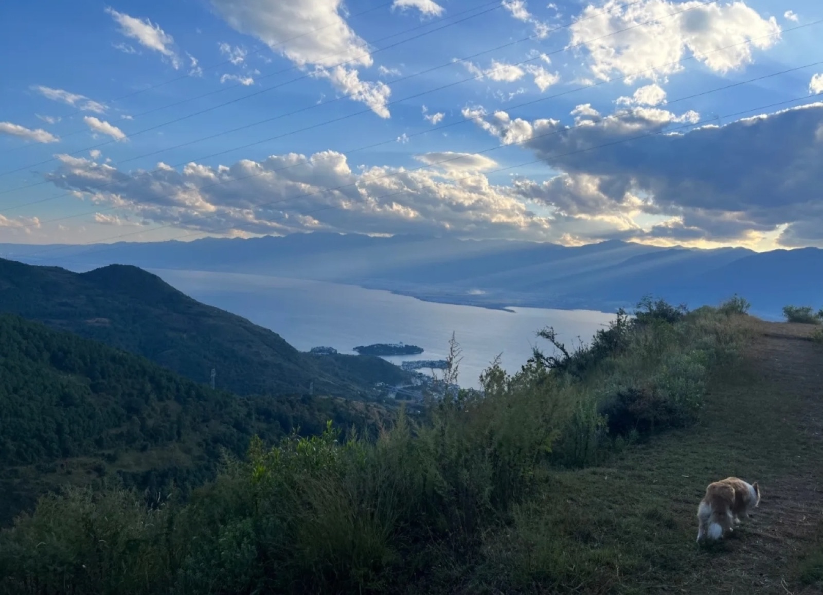 旅行者上传的活动照片