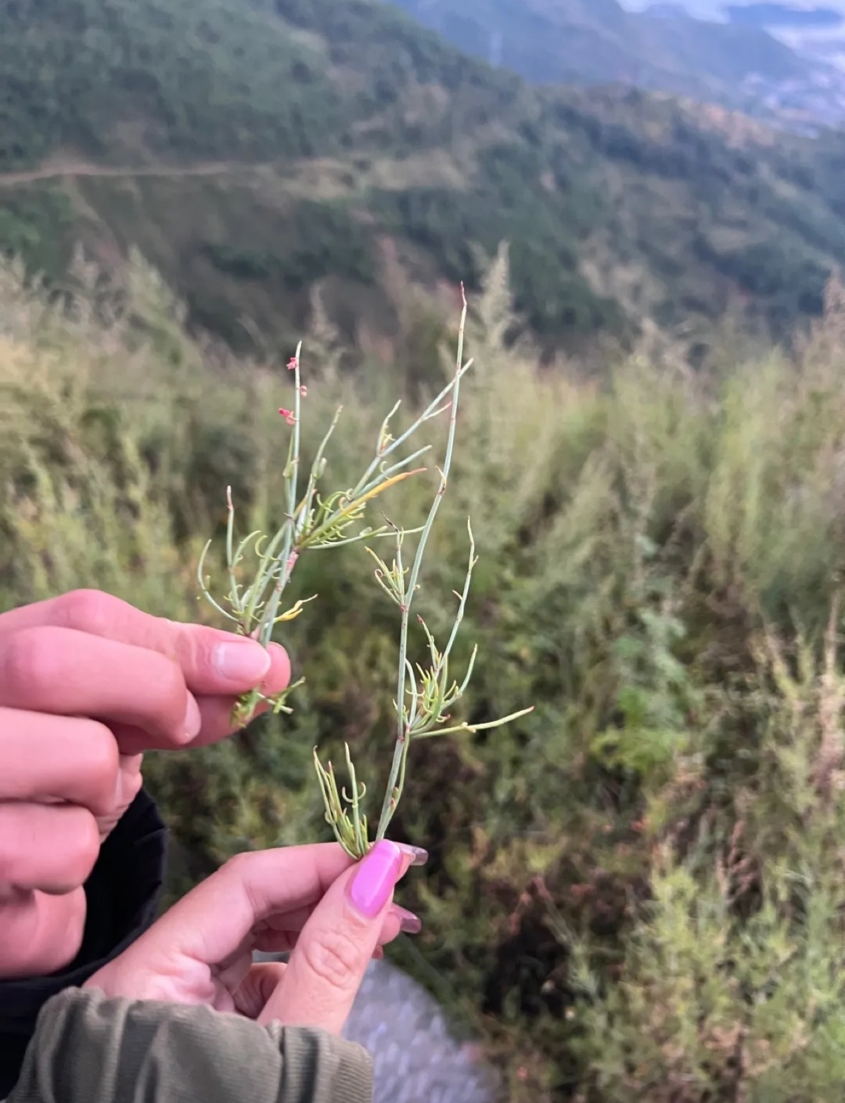 旅行者上传的活动照片