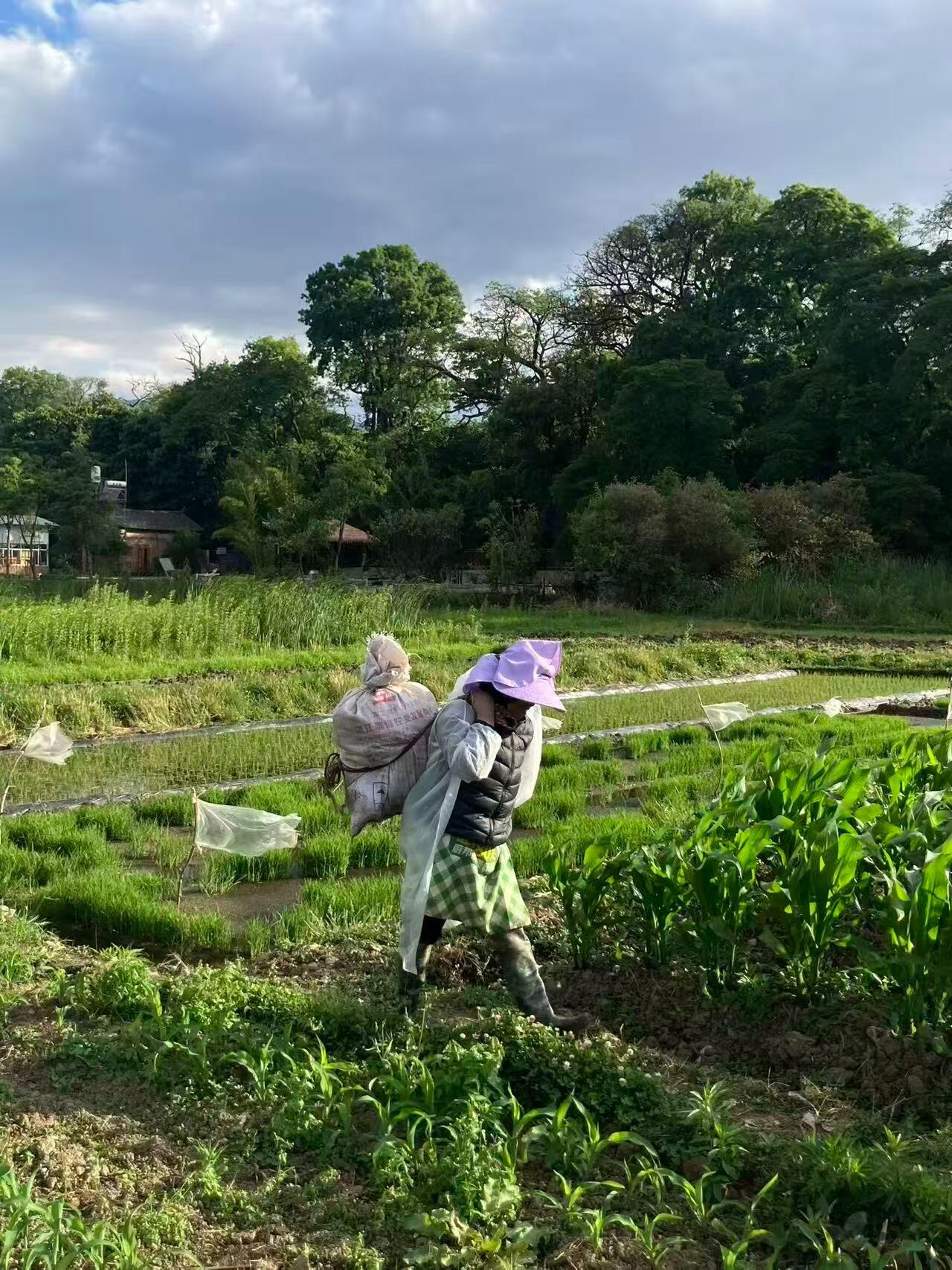 旅行者上传的活动照片