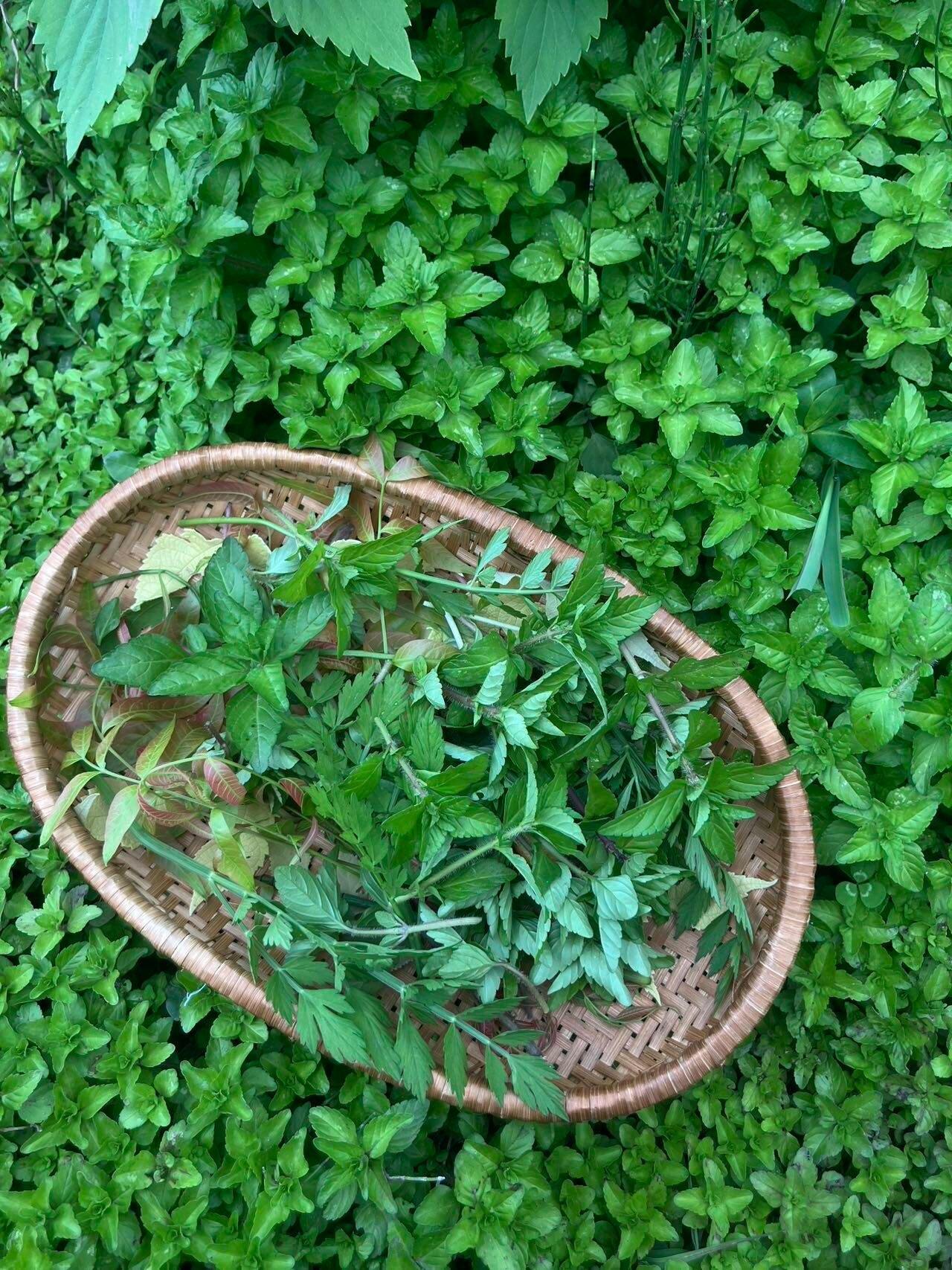 旅行者上传的活动照片