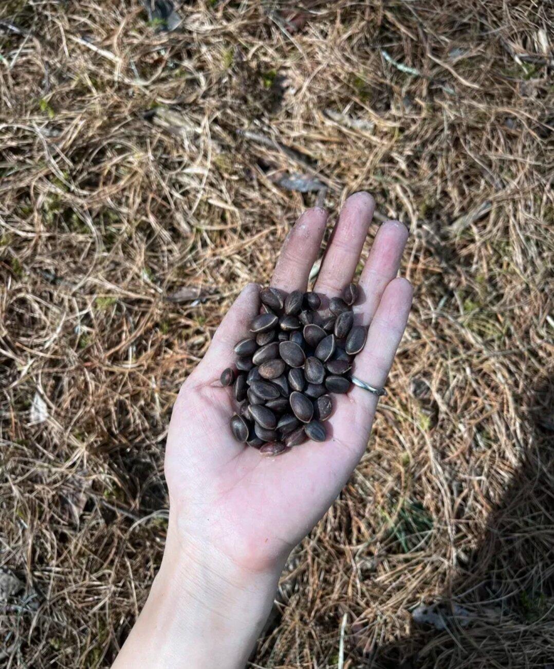 旅行者上传的活动照片