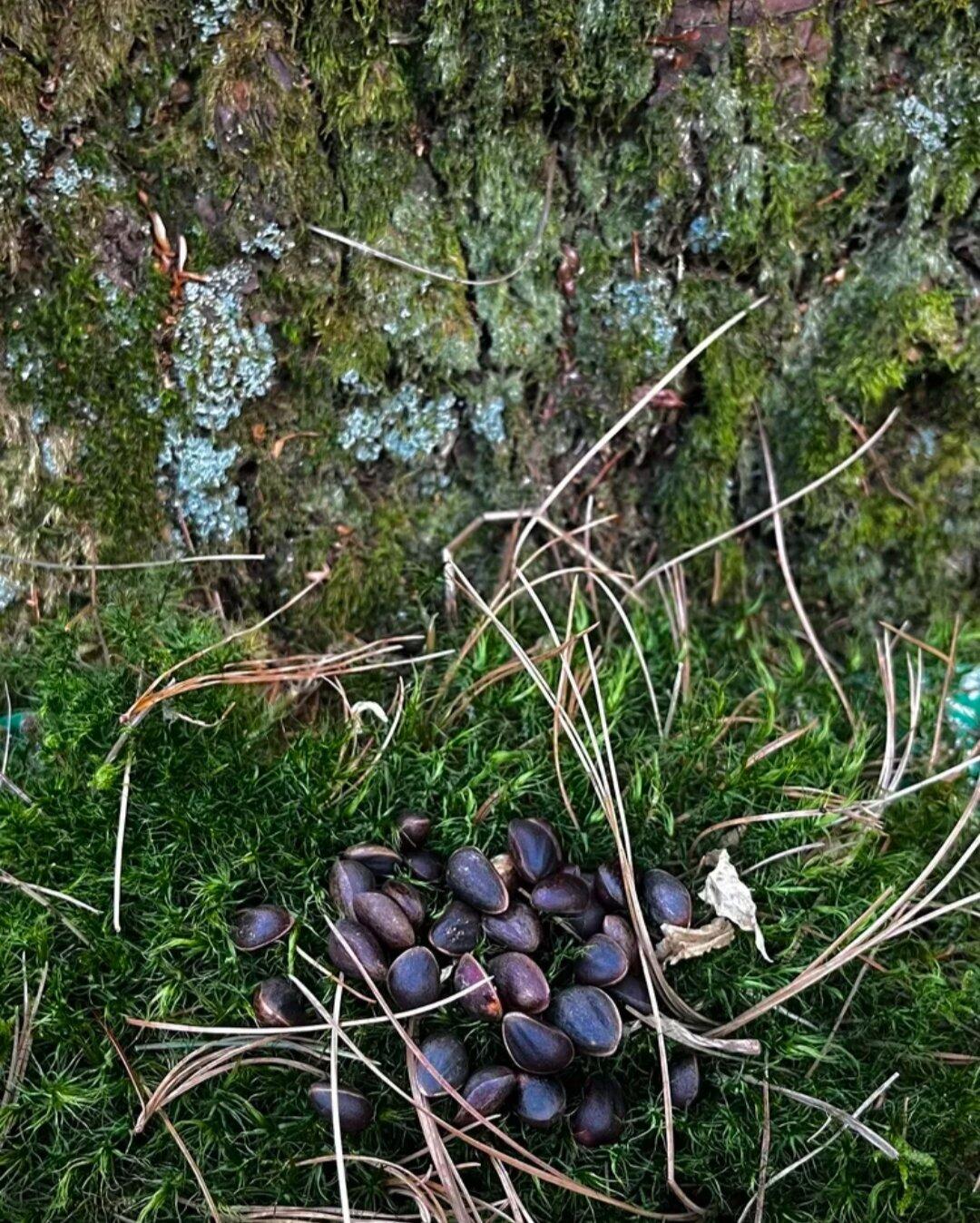 旅行者上传的活动照片