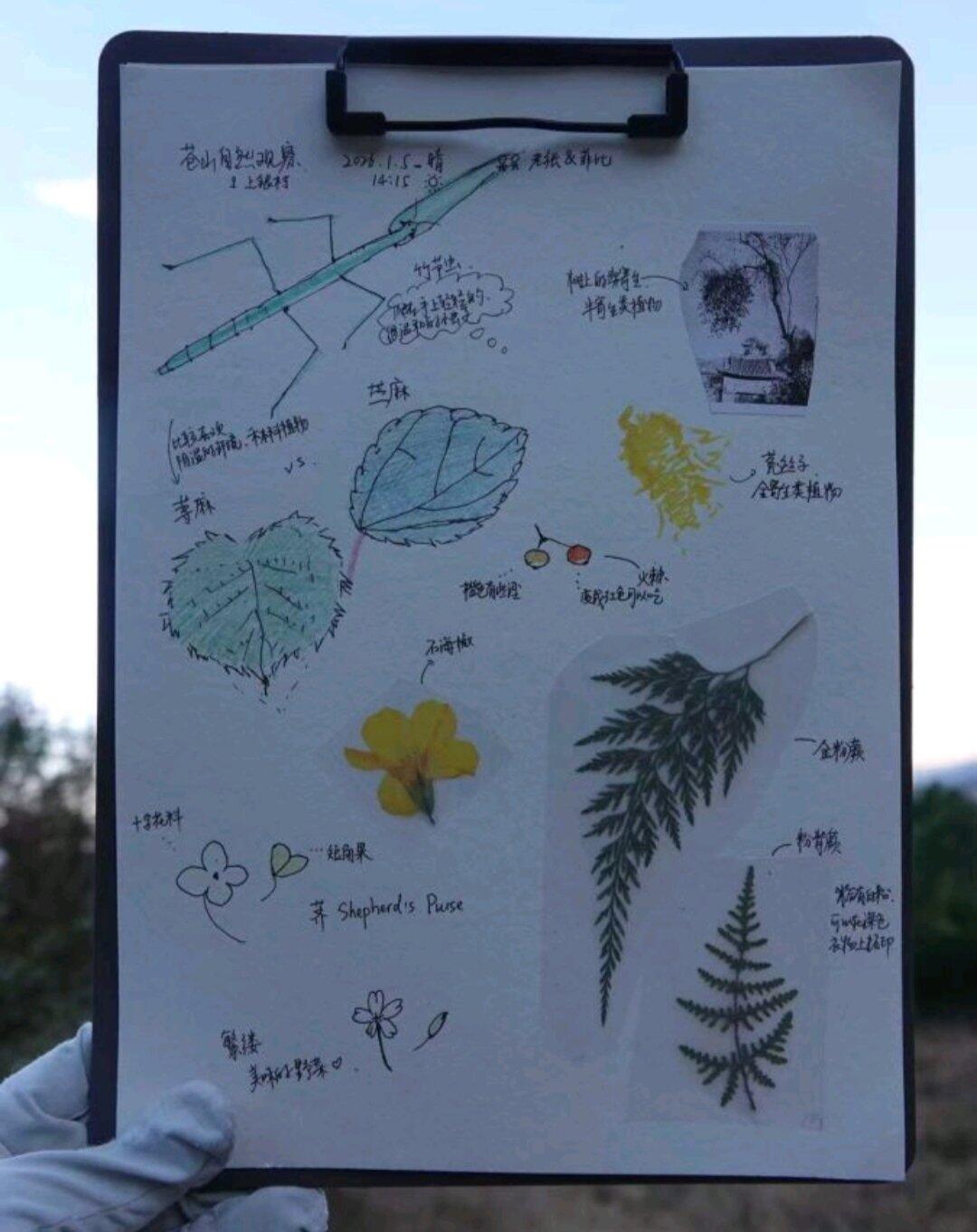 旅行者上传的活动照片