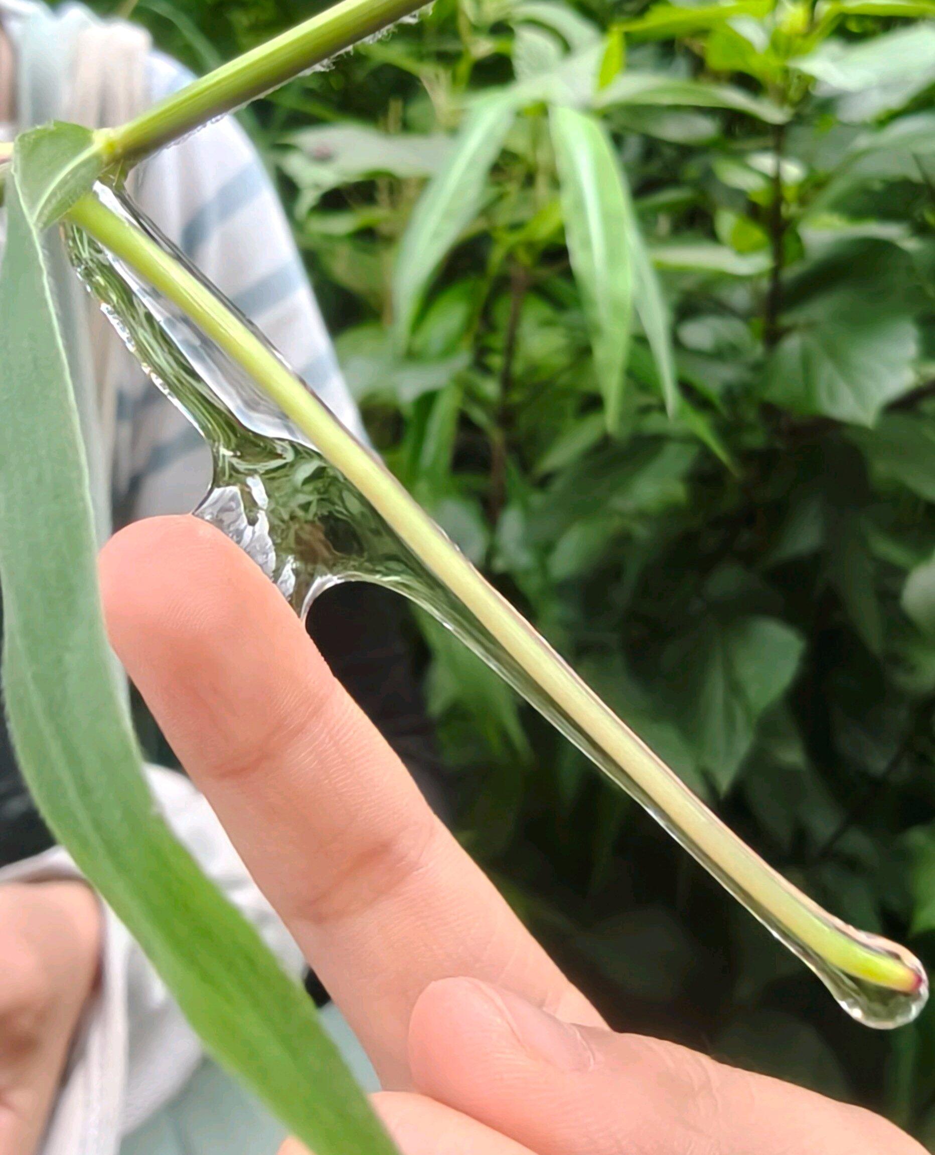 旅行者上传的活动照片