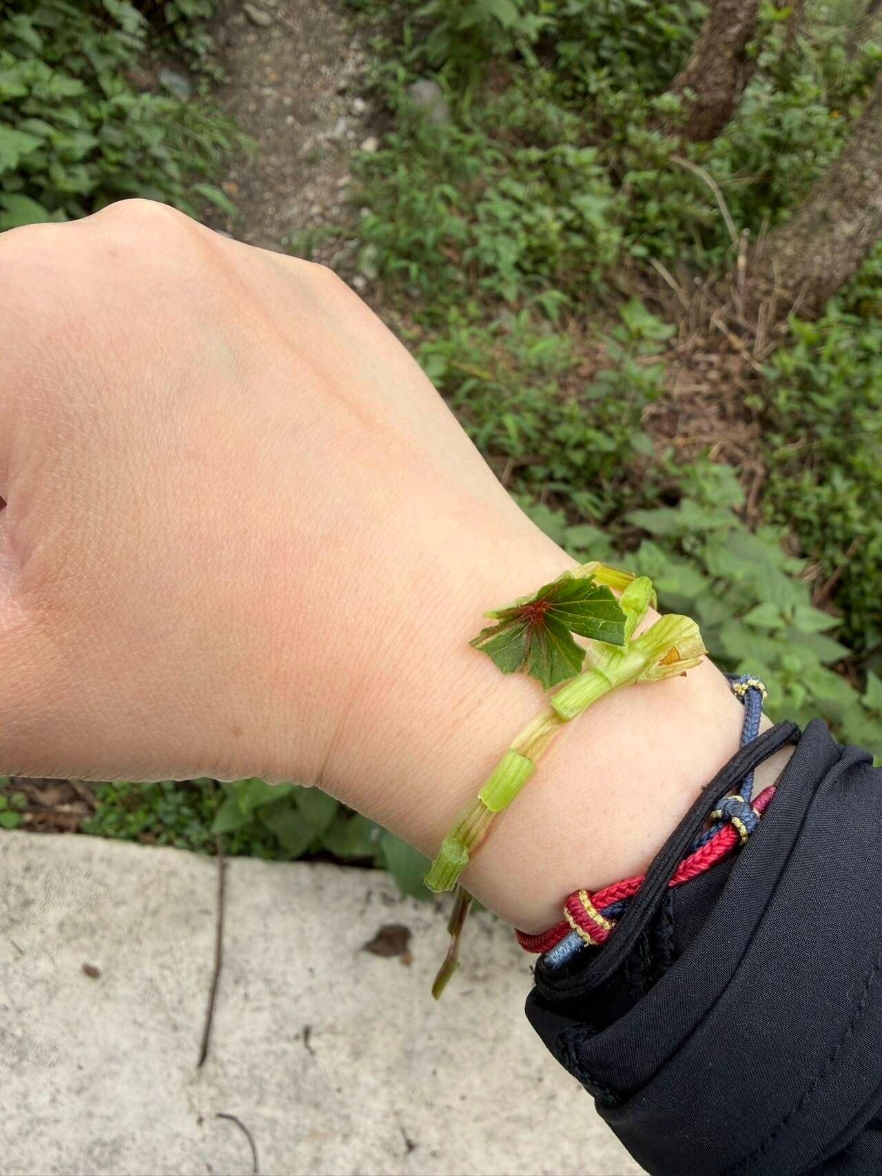旅行者上传的活动照片