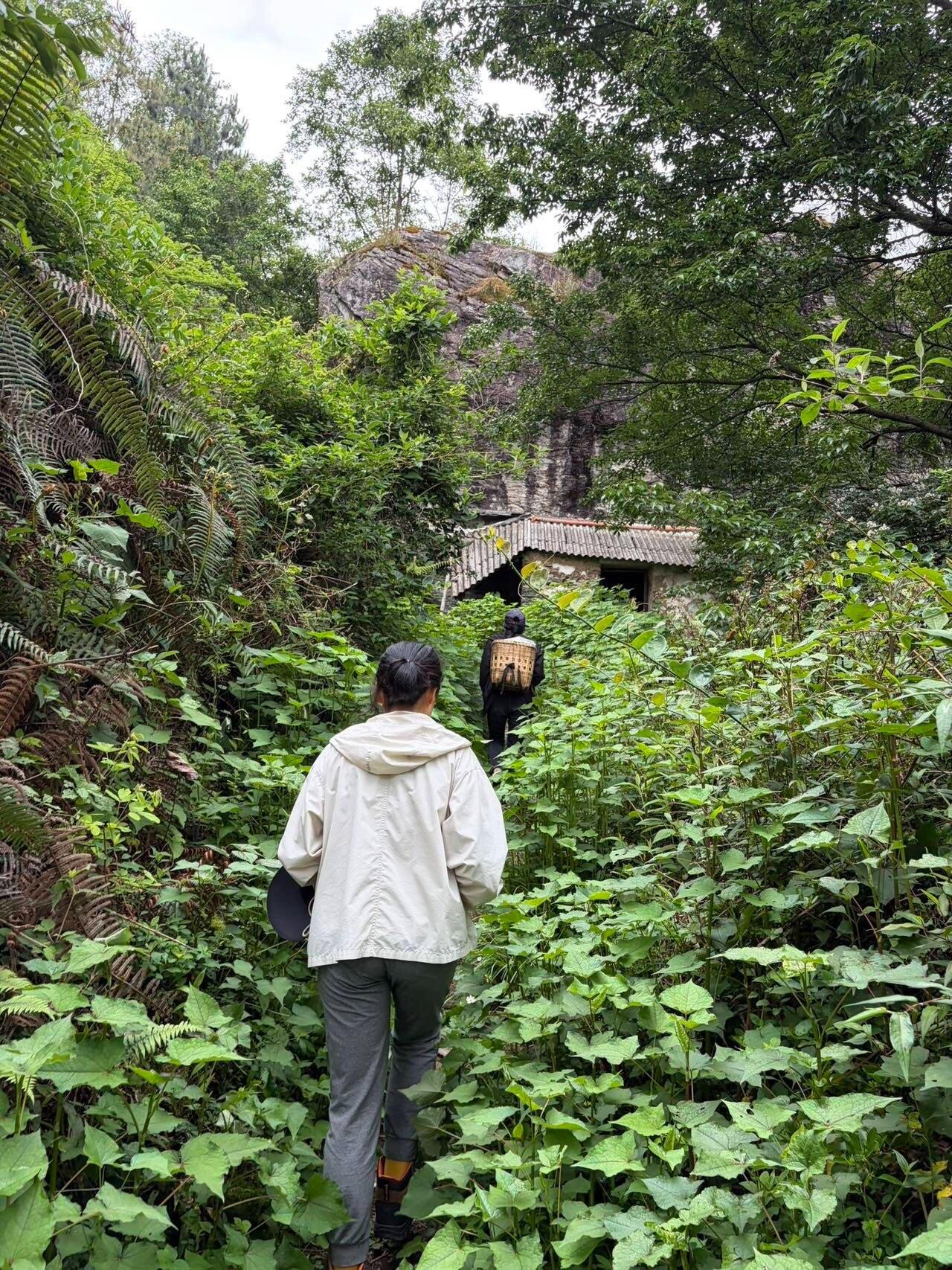 旅行者上传的活动照片