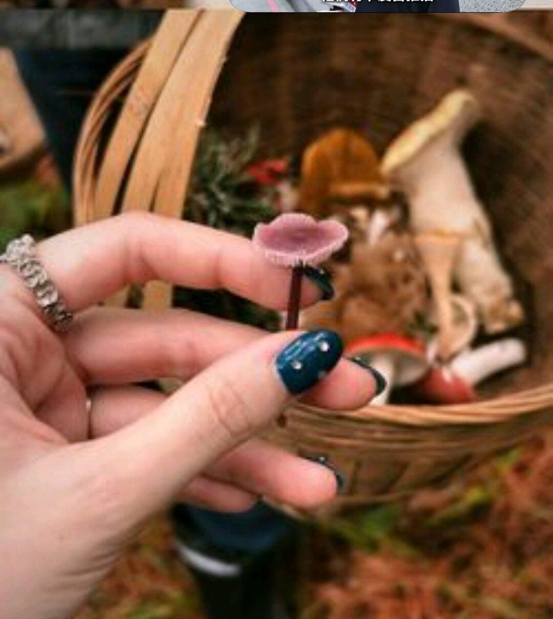 旅行者上传的活动照片