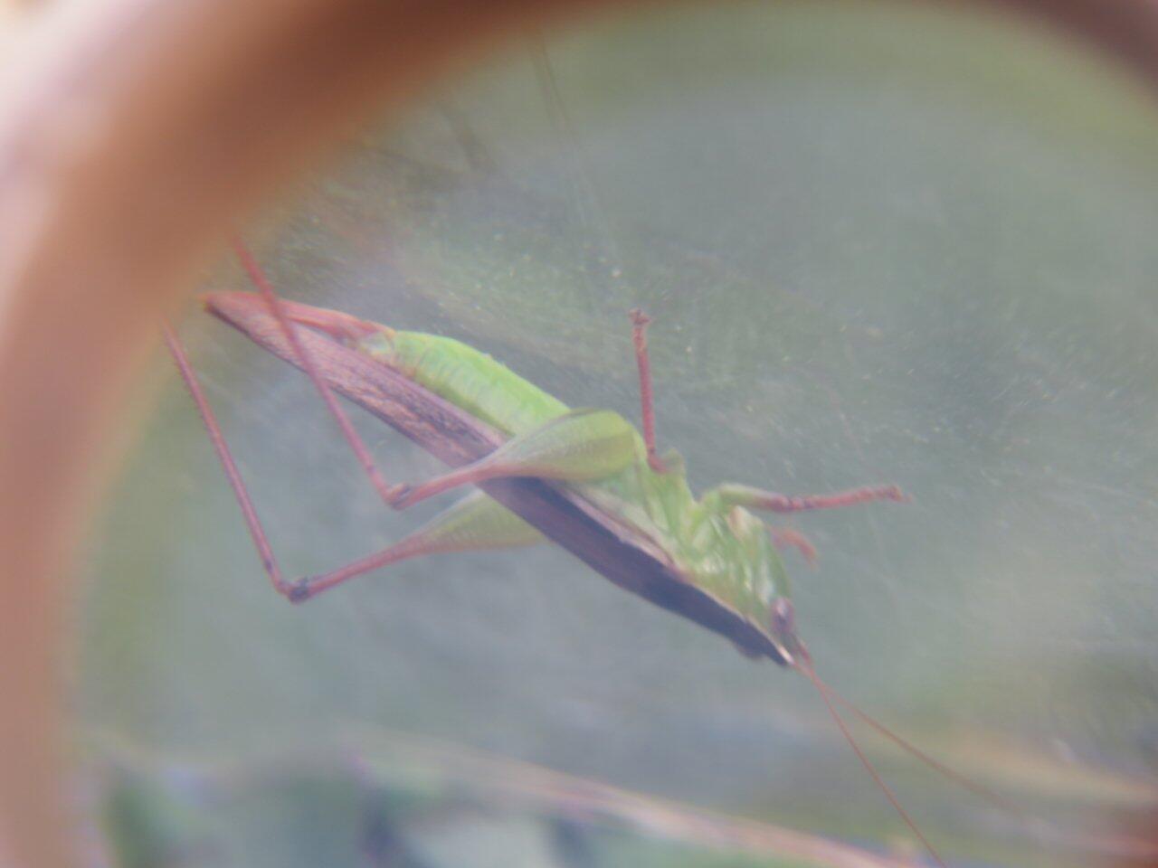 旅行者上传的活动照片