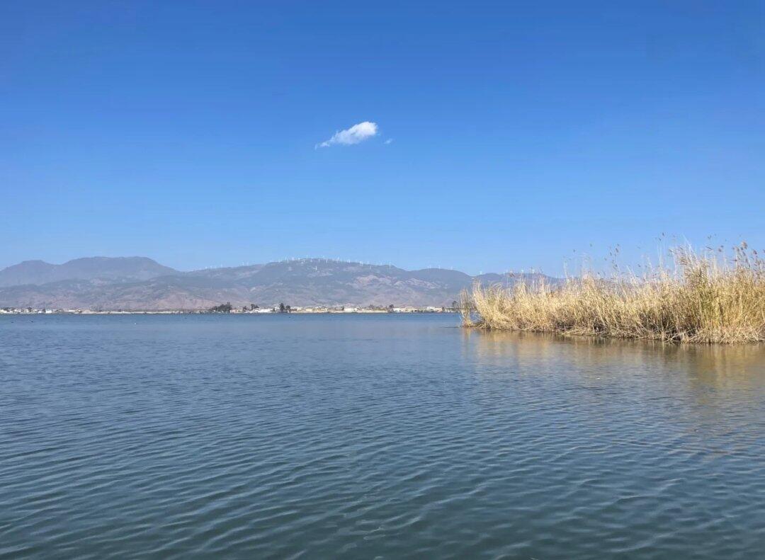 旅行者上传的活动照片
