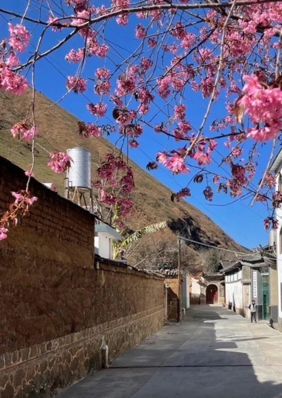 旅行者上传的活动照片
