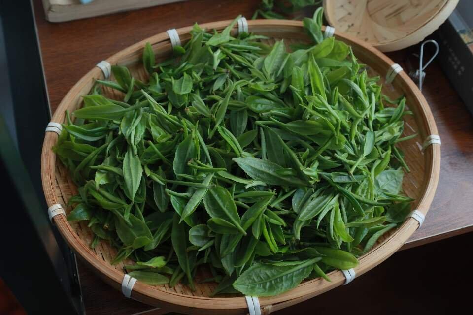 旅行者上传的活动照片