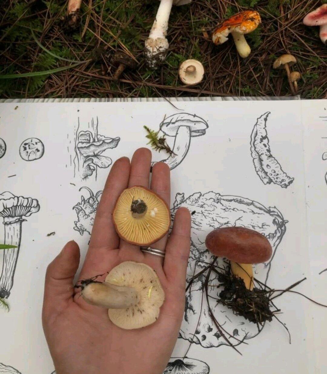 旅行者上传的活动照片