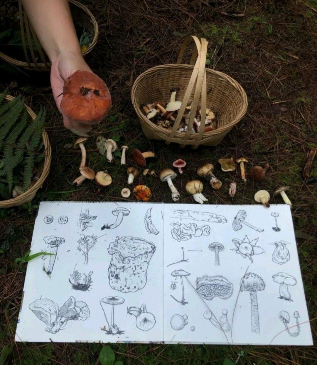 旅行者上传的活动照片