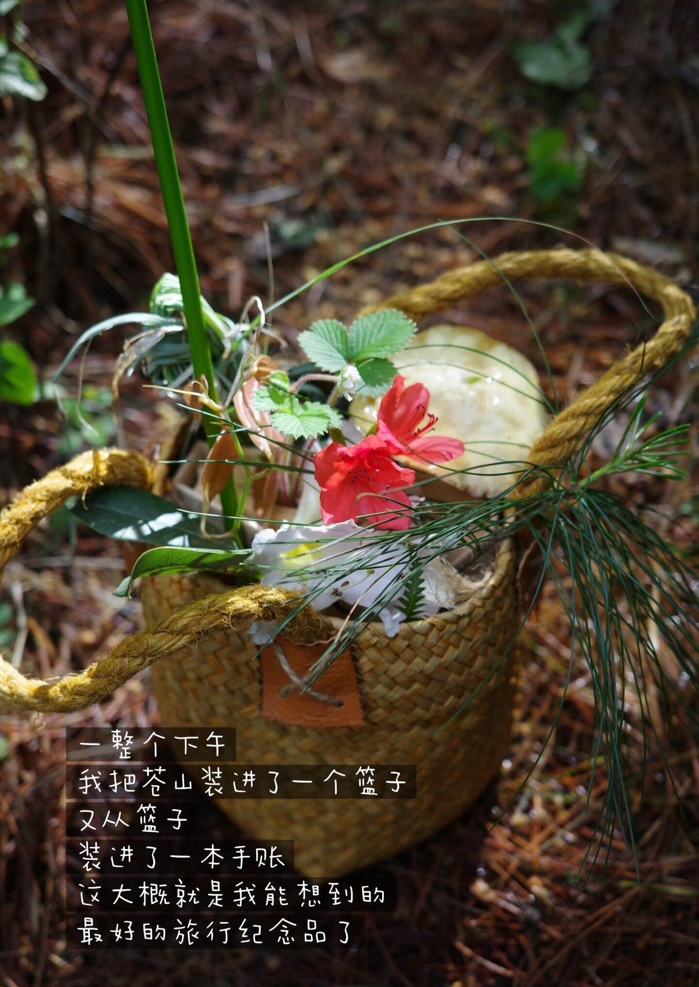 旅行者上传的活动照片
