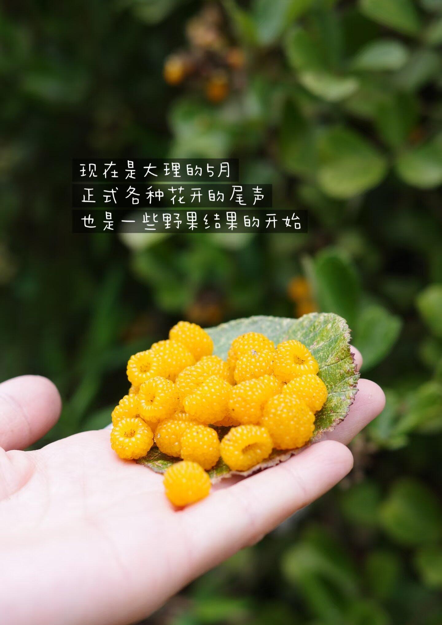 旅行者上传的活动照片