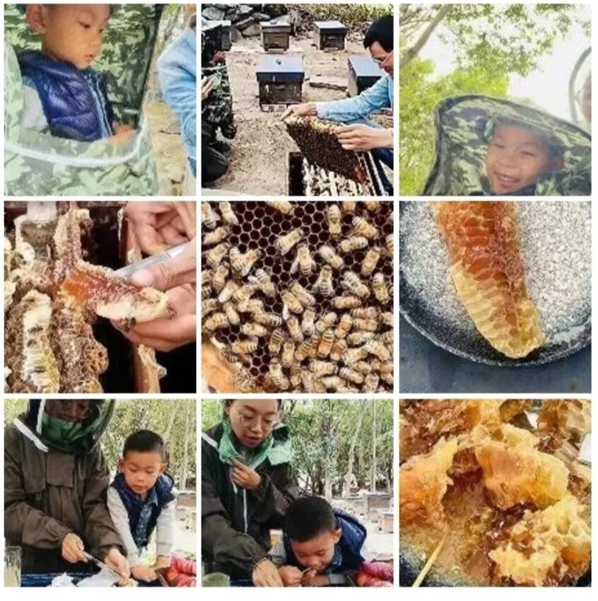 여행자가 올린 체험 사진