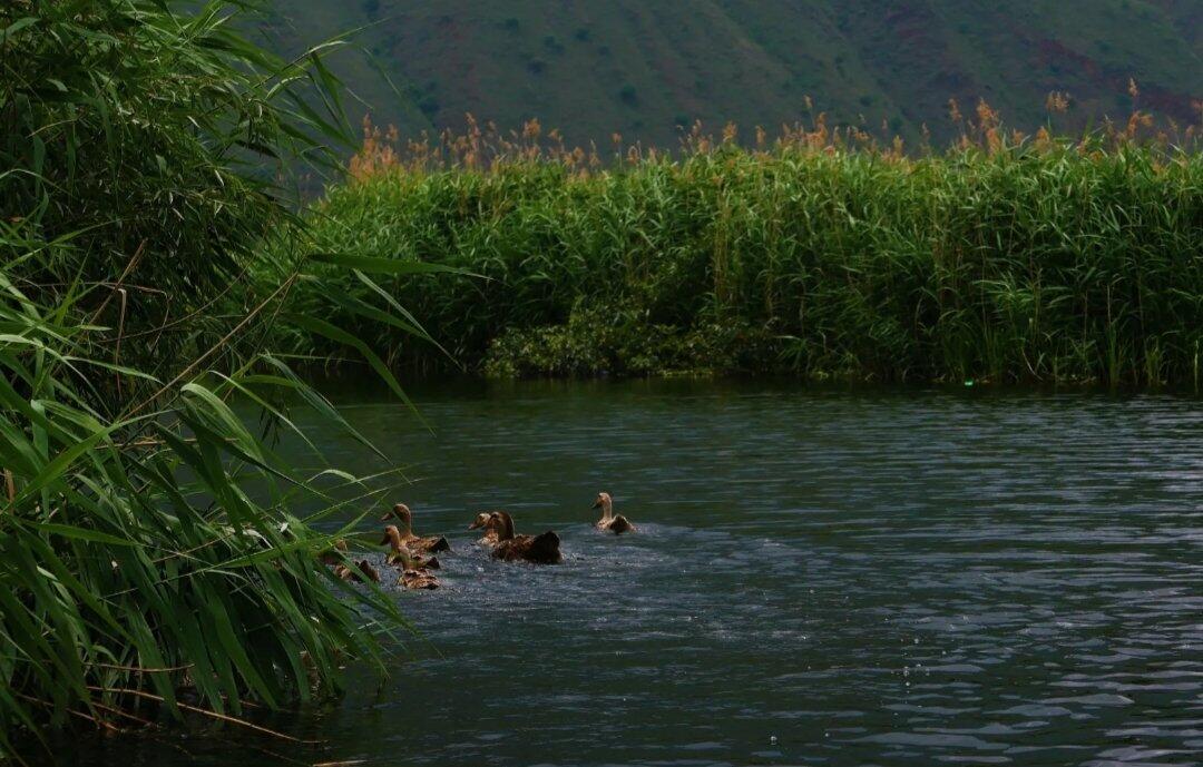 旅行者上传的活动照片
