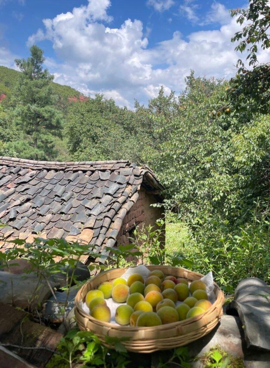 旅行者上传的活动照片
