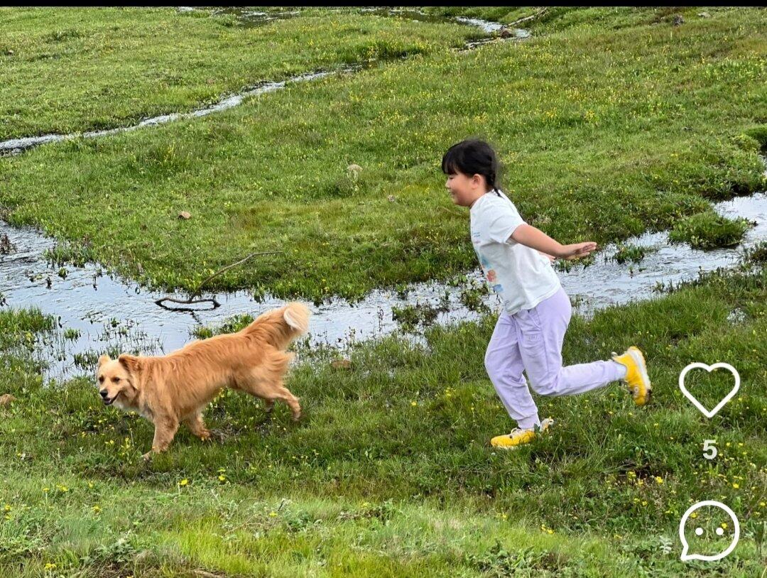旅人が投稿した体験写真