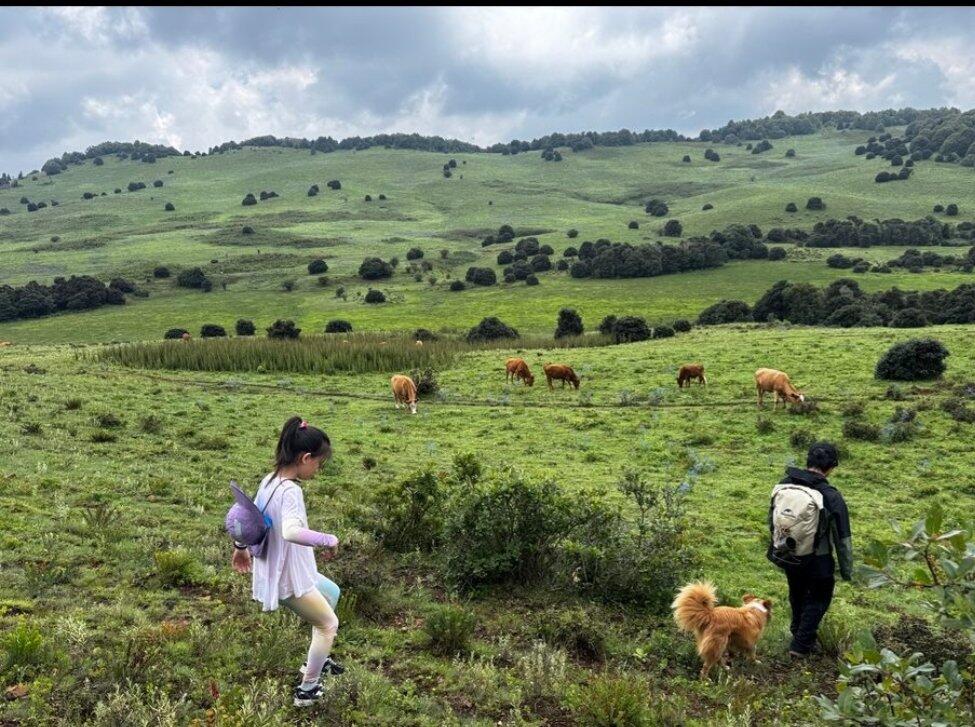 旅人が投稿した体験写真
