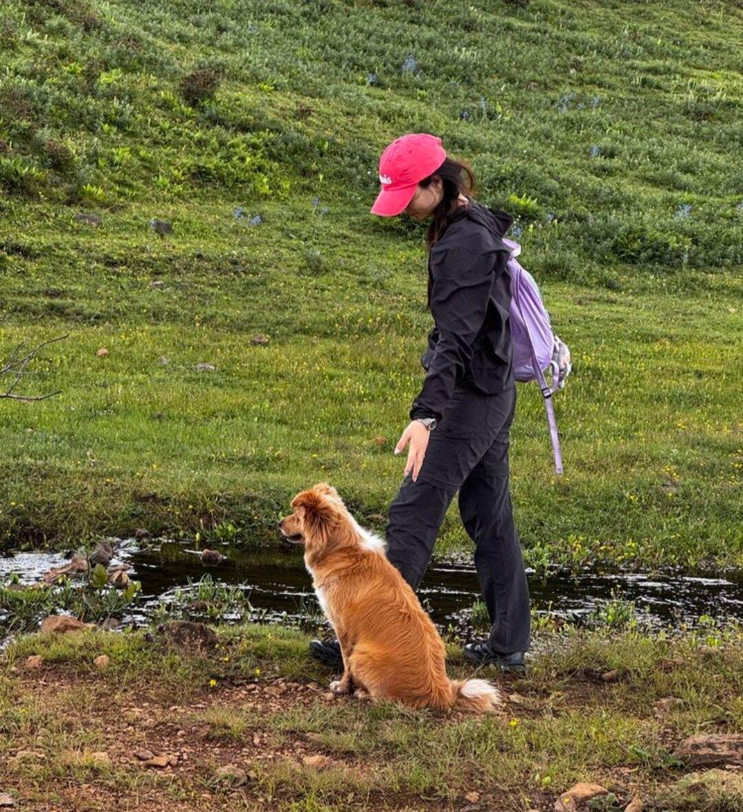 旅人が投稿した体験写真