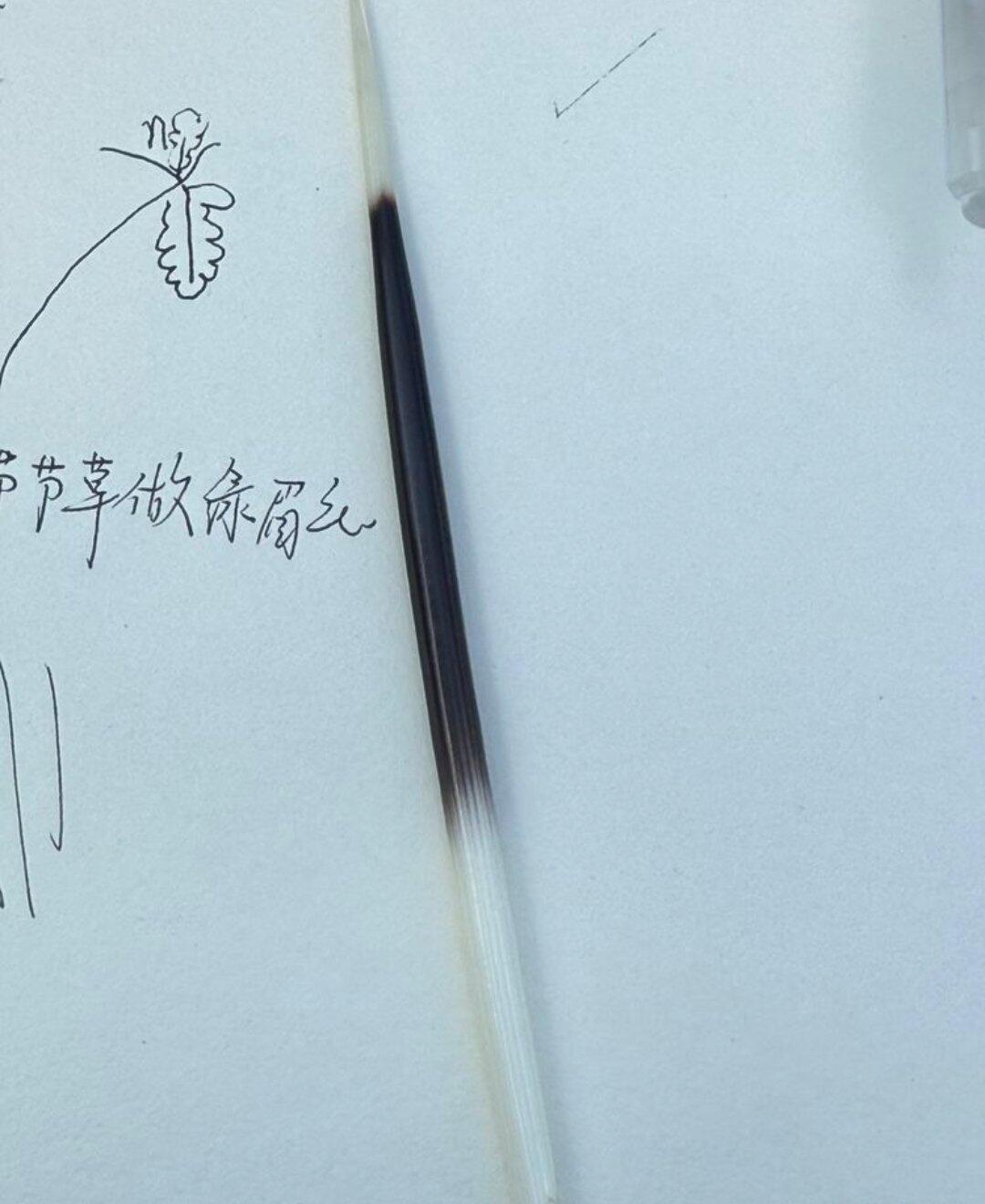 旅行者上传的活动照片