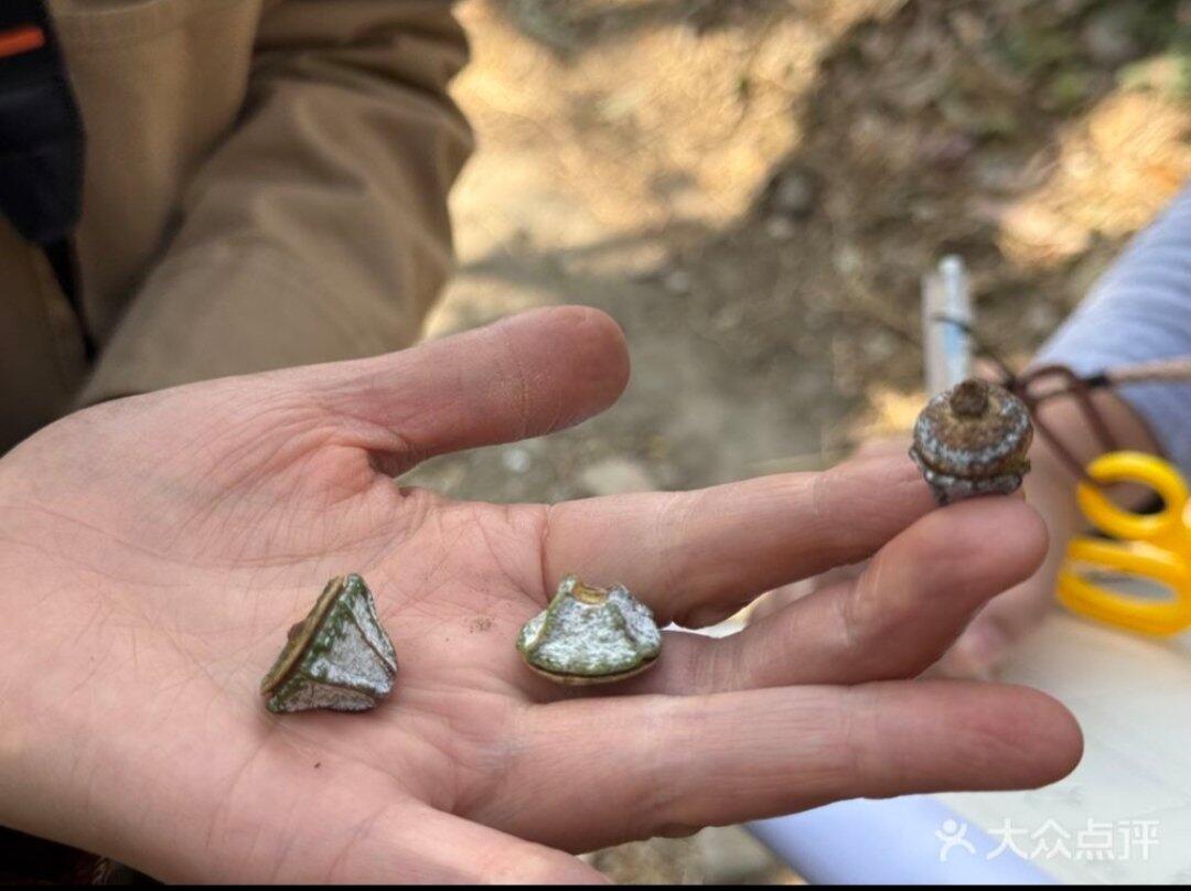 旅行者上传的活动照片