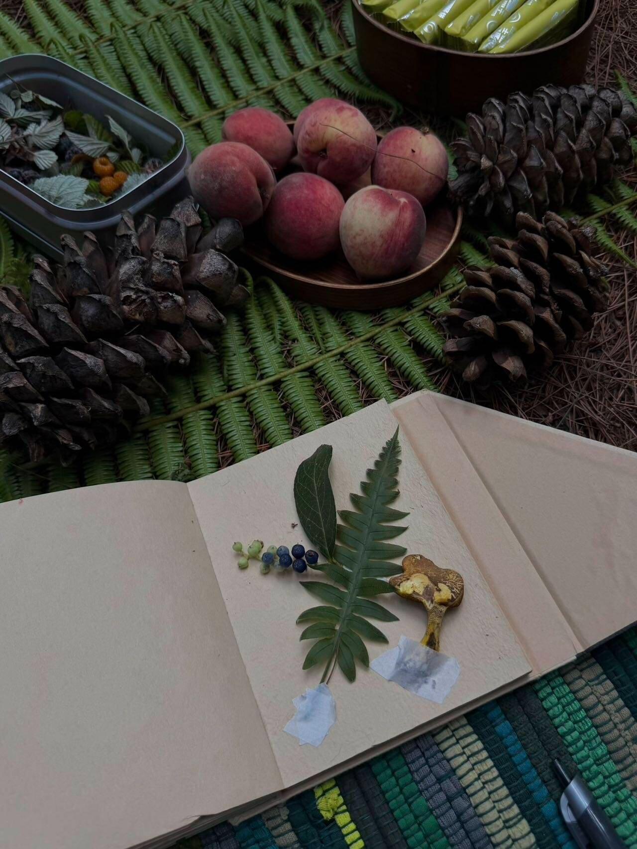 旅行者上传的活动照片
