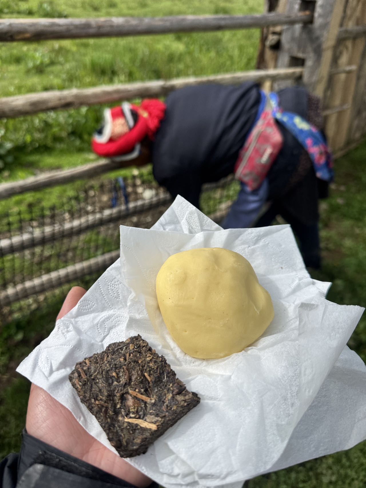 活动正文图片