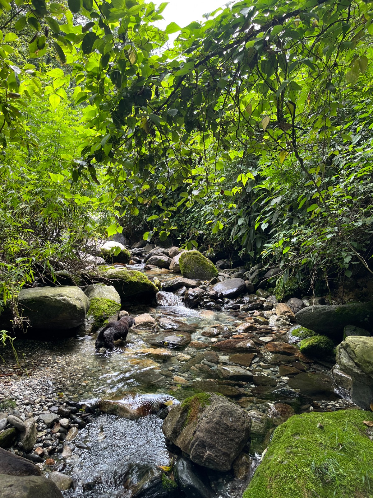 IMG_7847.jpeg