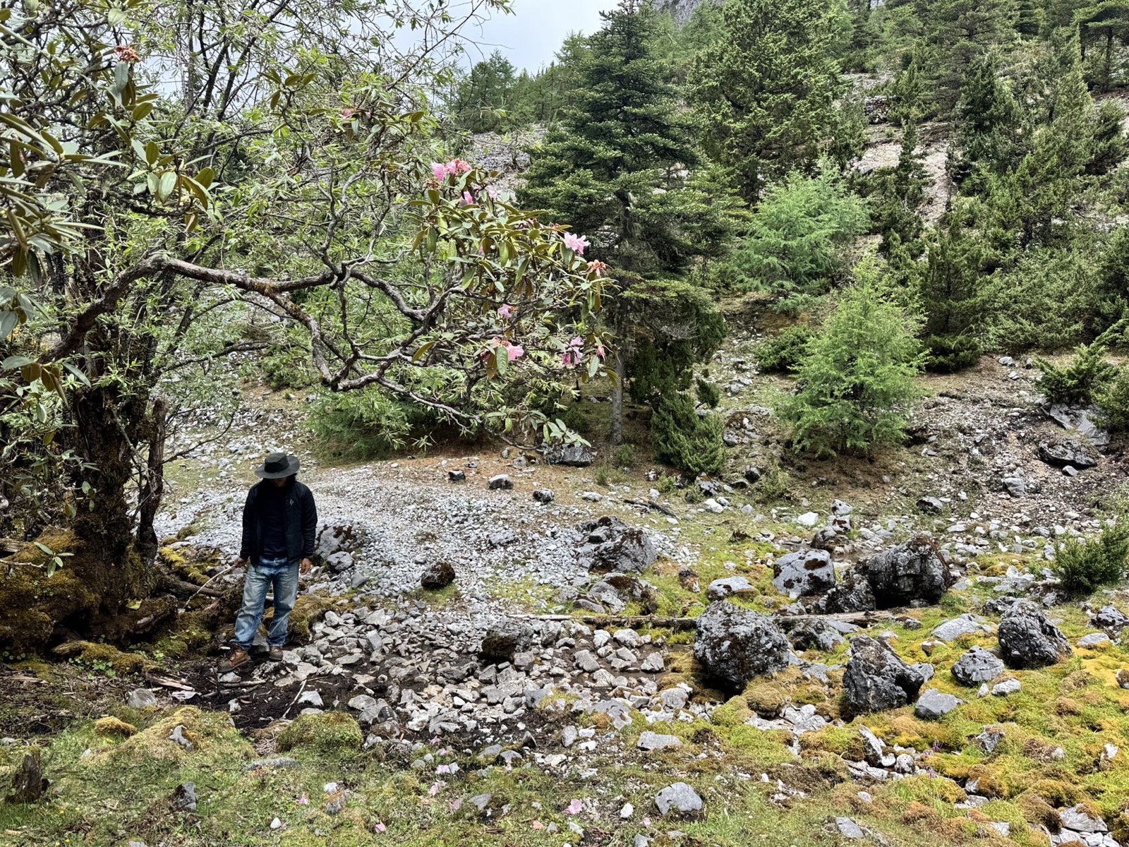 In-depth Shangri-La Pastoral Area 2-Day Trip