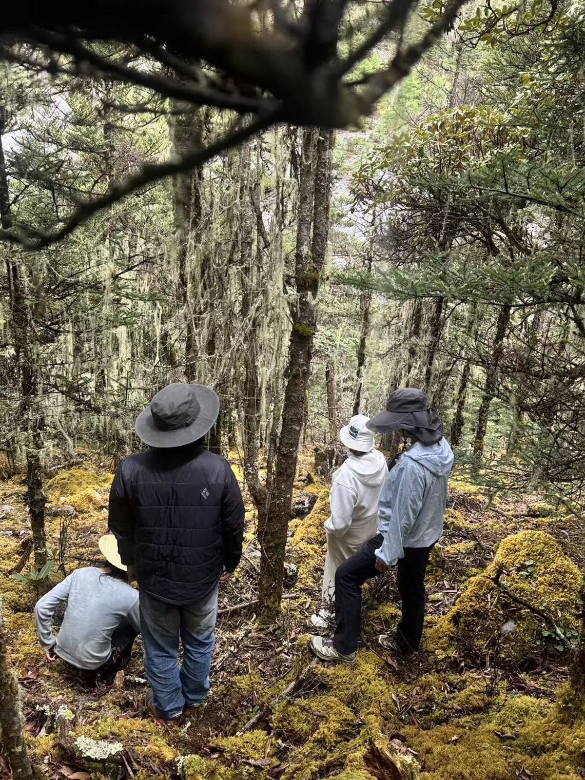 In-depth Shangri-La Pastoral Area 2-Day Trip
