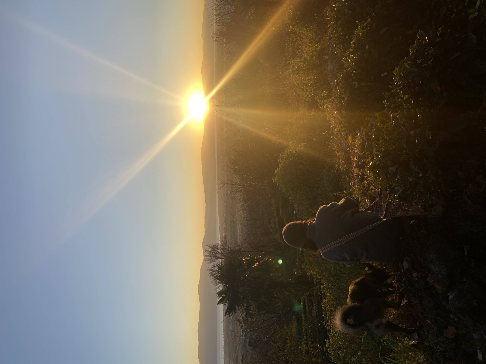 Hillside Village Tea Garden | Overlooking Dali's Sunrise and Sunset