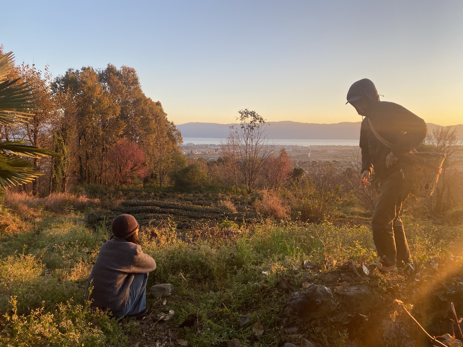 Hillside Village Tea Garden | Overlooking Dali's Sunrise and Sunset