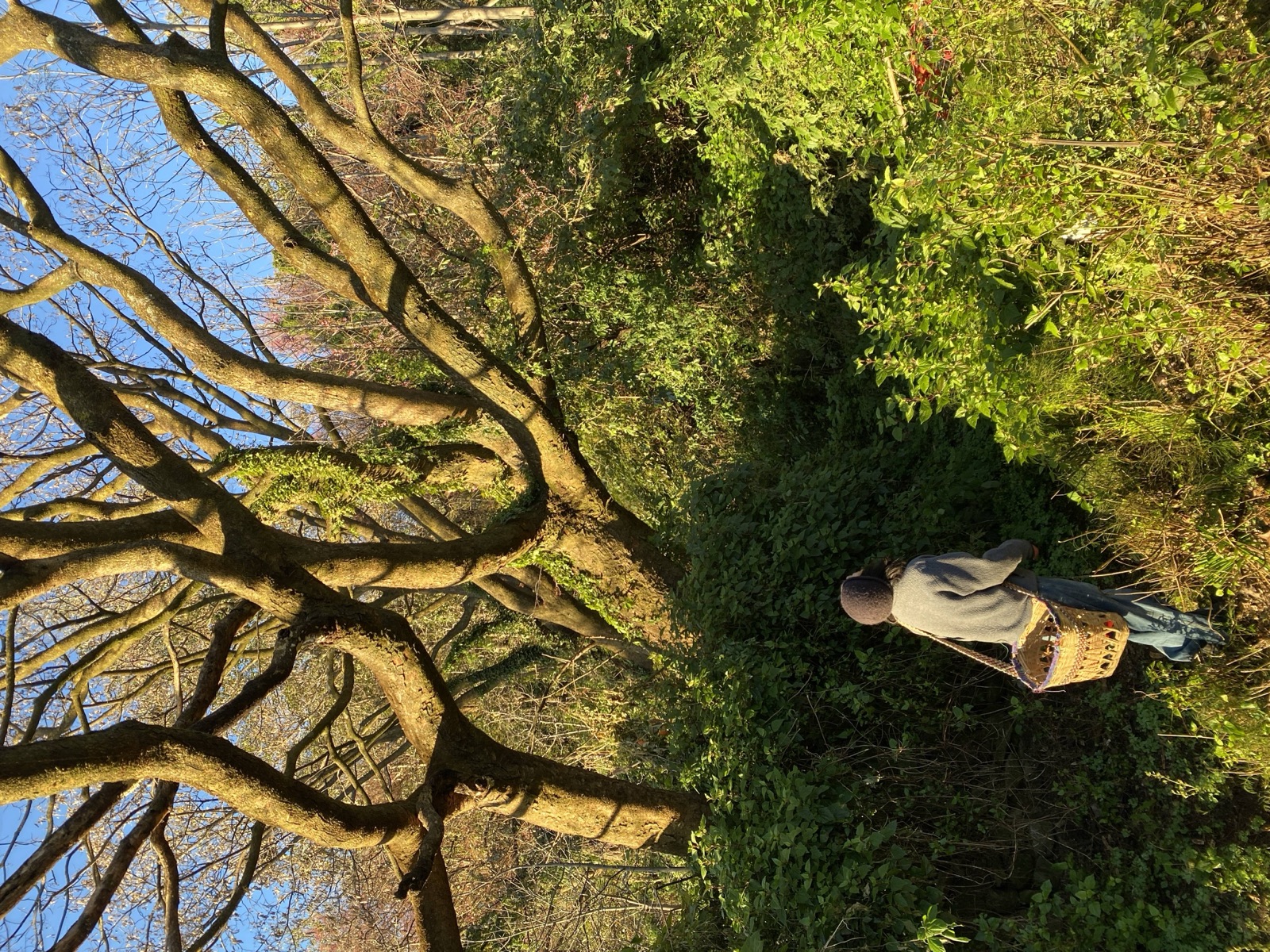 Hillside Village Tea Garden | Overlooking Dali's Sunrise and Sunset