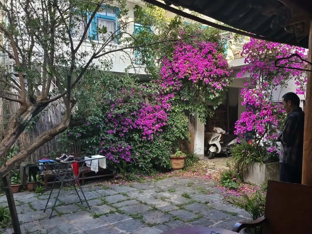 公众号文章图片