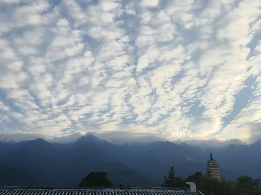 公众号文章图片